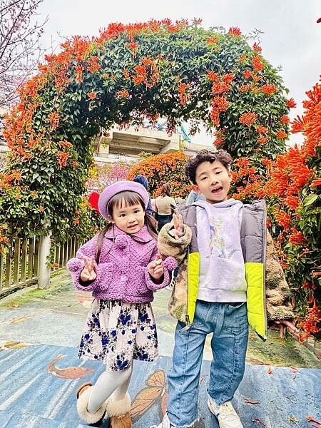 ★新北●鶯歌*最美拍的『鶯歌永吉公園』,擁有雙色櫻花、炮仗花