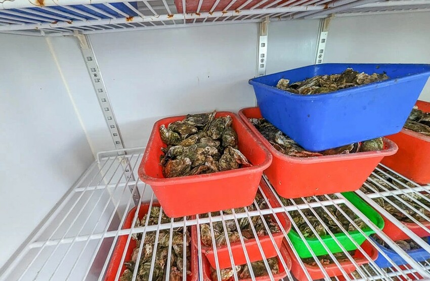 東石美食推薦｜烤蚵吃到飽｜東石CP值很高海鮮餐廳｜蚵老大海鮮碳烤