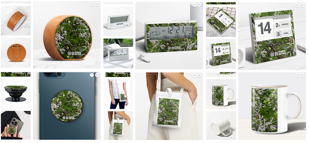 大漠國渡 - 商品小舖 (KUSDOM)