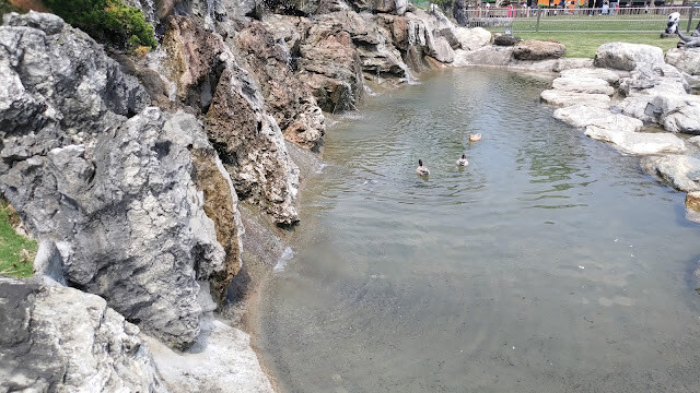 洄瀾灣景觀餐廳 - 休閒農場 - 池塘