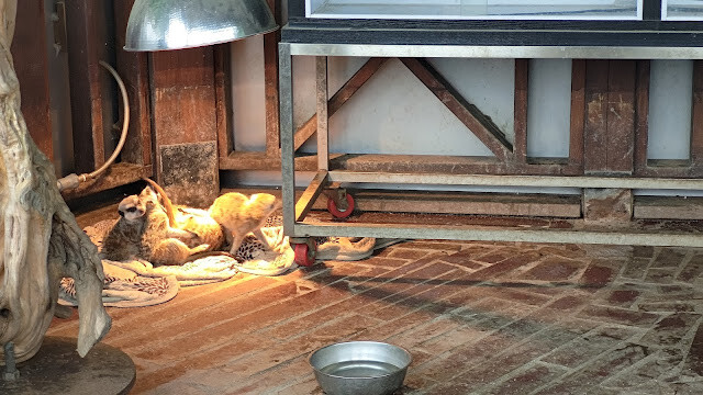 洄瀾灣景觀餐廳 - 休閒農場 - 狐蒙