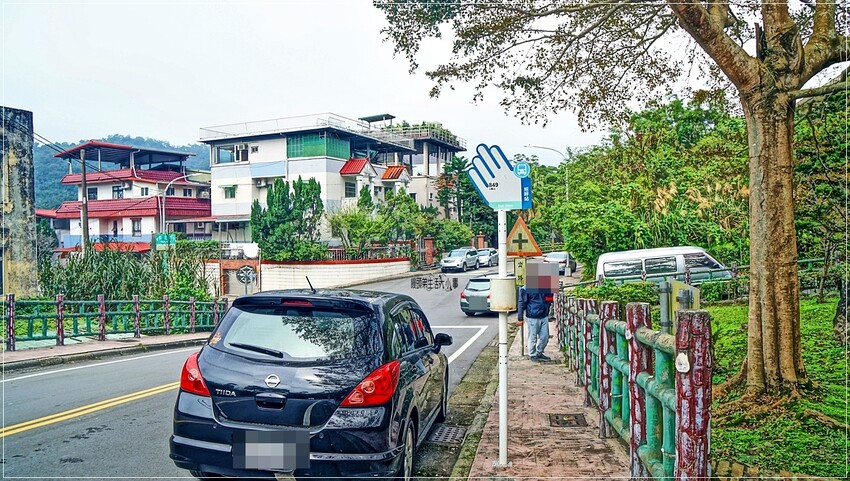 新北市新店區新店屈尺櫻花公園：現正盛放山櫻花寒櫻，快來感受櫻花的迷人風采