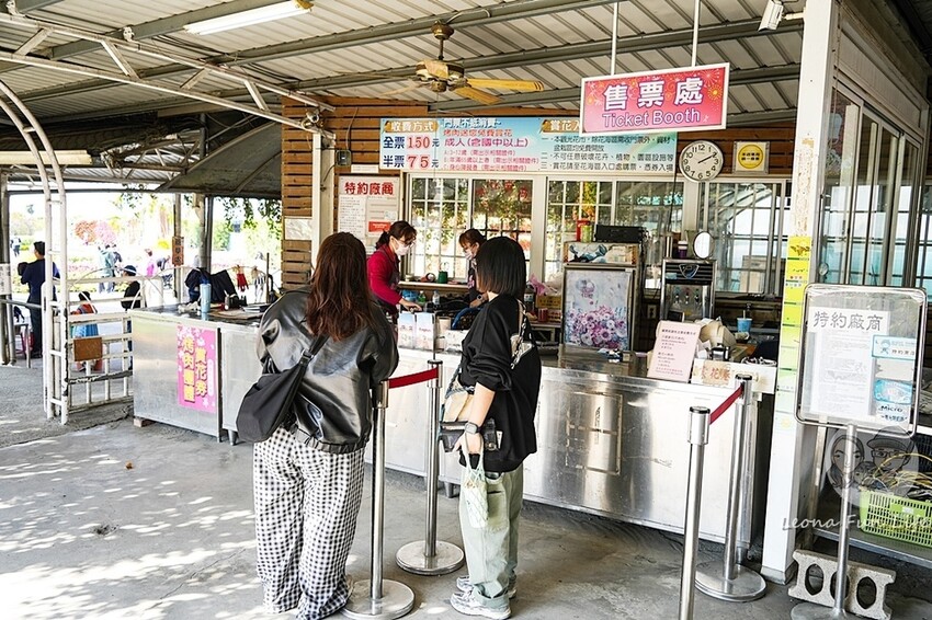 台中市后里區台中賞花景點|中社觀光花市-歐式花園賞鬱金香花海、落雨松，門票優惠、花況、交通資訊攻略|烤肉吃到飽