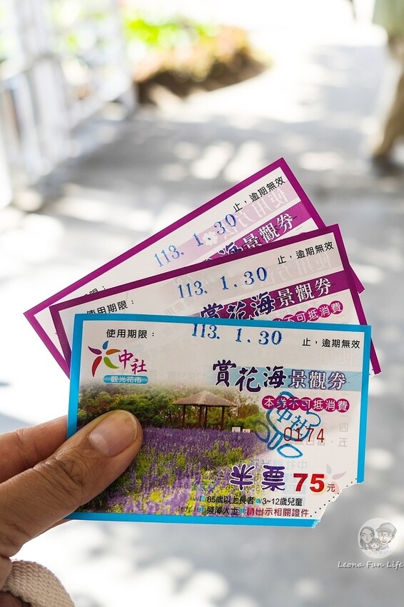 台中市后里區台中賞花景點|中社觀光花市-歐式花園賞鬱金香花海、落雨松，門票優惠、花況、交通資訊攻略|烤肉吃到飽