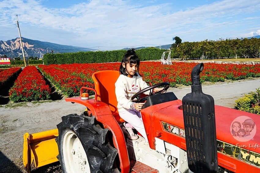 台中市后里區台中賞花景點|中社觀光花市-歐式花園賞鬱金香花海、落雨松，門票優惠、花況、交通資訊攻略|烤肉吃到飽