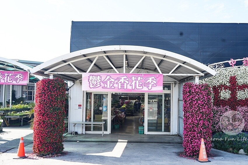 台中市后里區台中賞花景點|中社觀光花市-歐式花園賞鬱金香花海、落雨松，門票優惠、花況、交通資訊攻略|烤肉吃到飽