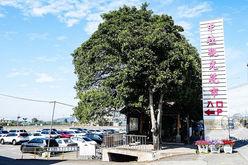 台中市后里區台中賞花景點|中社觀光花市-歐式花園賞鬱金香花海、落雨松，門票優惠、花況、交通資訊攻略|烤肉吃到飽