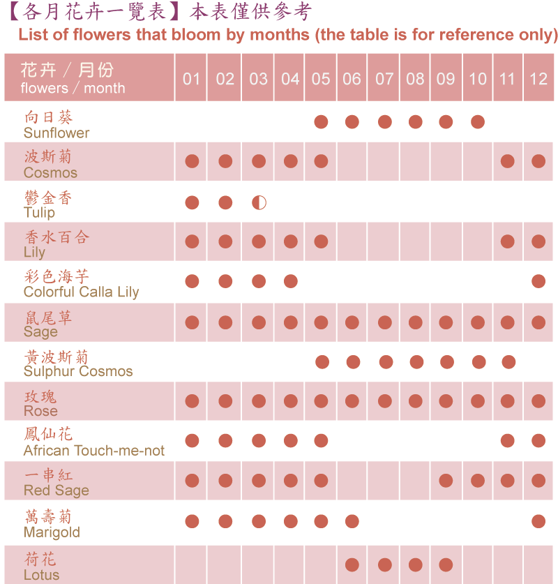 台中市后里區台中賞花景點|中社觀光花市-歐式花園賞鬱金香花海、落雨松，門票優惠、花況、交通資訊攻略|烤肉吃到飽