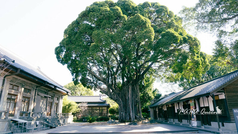 台中市西區台中景點｜日宅建築群必訪／國家漫畫博物館籌備處