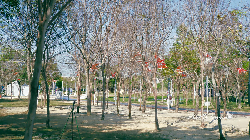 台中市西屯區2024 台中燈會|76米巨龍登場+8大主題,停車資訊,公車接駁一次看清楚!