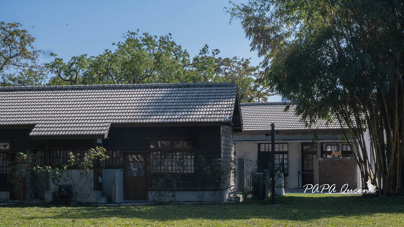 台中市西區台中景點｜日宅建築群必訪／國家漫畫博物館籌備處