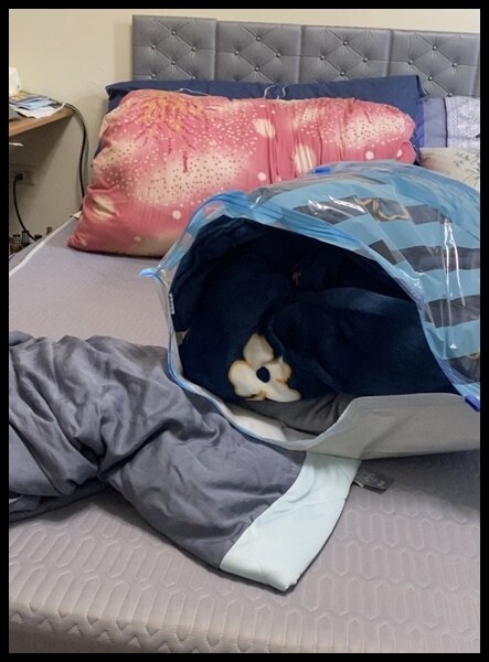 【露營旅行換季必備】【摩肯】DR. SAVE 3in1極度快