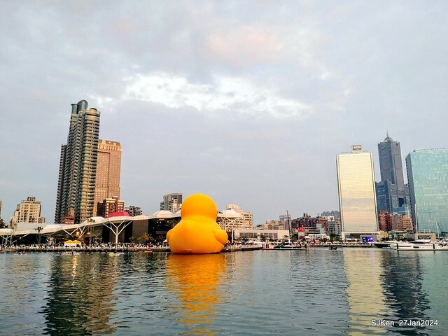 「黃色小鴨 Rubber Duck」由荷蘭藝術家霍夫曼(Florentijn Hofman)創作 exhibitied at Koashiung harbour from 2024.01.27 ~ 2024.02.25, by SJKen, Jan 27, 2024.