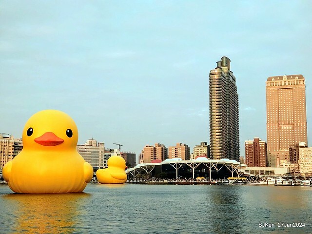 「黃色小鴨 Rubber Duck」由荷蘭藝術家霍夫曼(Florentijn Hofman)創作 exhibitied at Koashiung harbour from 2024.01.27 ~ 2024.02.25, by SJKen, Jan 27, 2024.