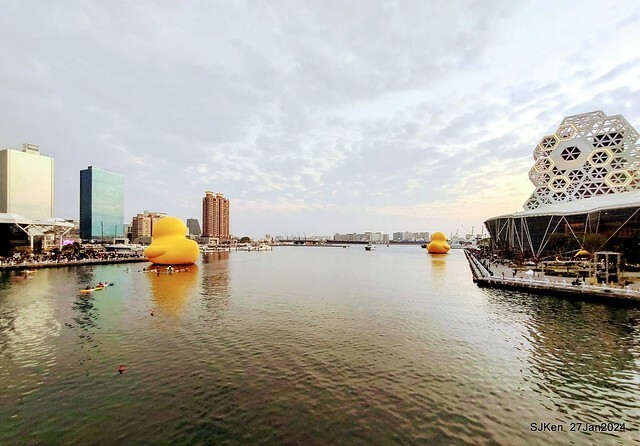 「黃色小鴨 Rubber Duck」由荷蘭藝術家霍夫曼(Florentijn Hofman)創作 exhibitied at Koashiung harbour from 2024.01.27 ~ 2024.02.25, by SJKen, Jan 27, 2024.