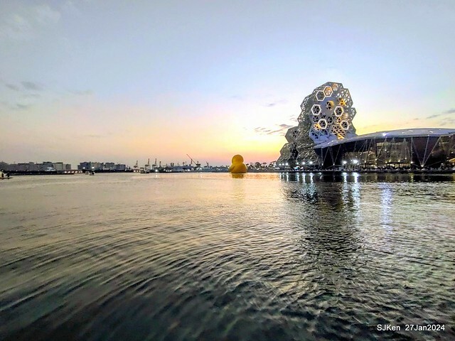 「黃色小鴨 Rubber Duck」由荷蘭藝術家霍夫曼(Florentijn Hofman)創作 exhibitied at Koashiung harbour from 2024.01.27 ~ 2024.02.25, by SJKen, Jan 27, 2024.