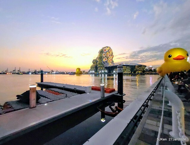 「黃色小鴨 Rubber Duck」由荷蘭藝術家霍夫曼(Florentijn Hofman)創作 exhibitied at Koashiung harbour from 2024.01.27 ~ 2024.02.25, by SJKen, Jan 27, 2024.