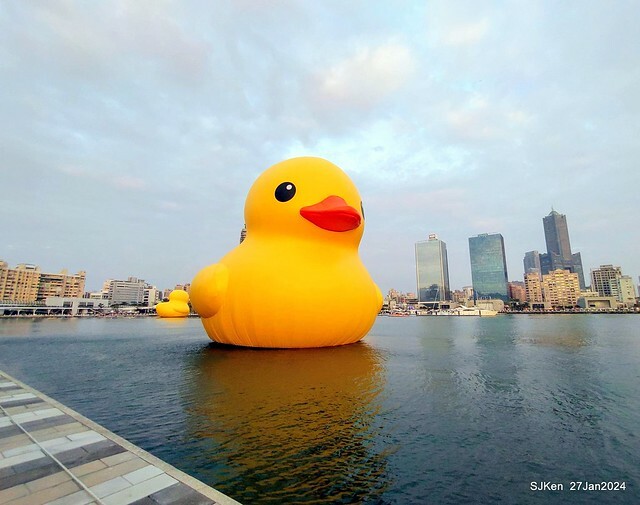 「黃色小鴨 Rubber Duck」由荷蘭藝術家霍夫曼(Florentijn Hofman)創作 exhibitied at Koashiung harbour from 2024.01.27 ~ 2024.02.25, by SJKen, Jan 27, 2024.