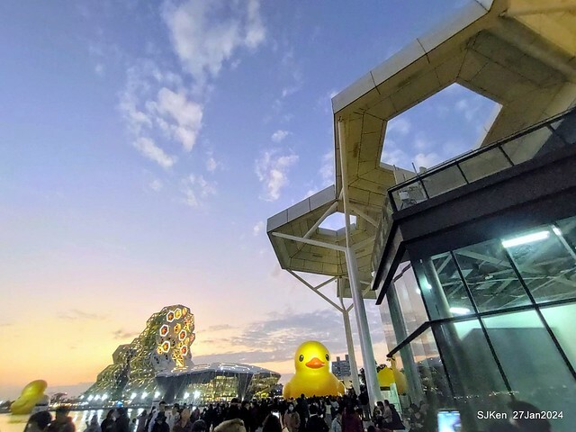 「黃色小鴨 Rubber Duck」由荷蘭藝術家霍夫曼(Florentijn Hofman)創作 exhibitied at Koashiung harbour from 2024.01.27 ~ 2024.02.25, by SJKen, Jan 27, 2024.