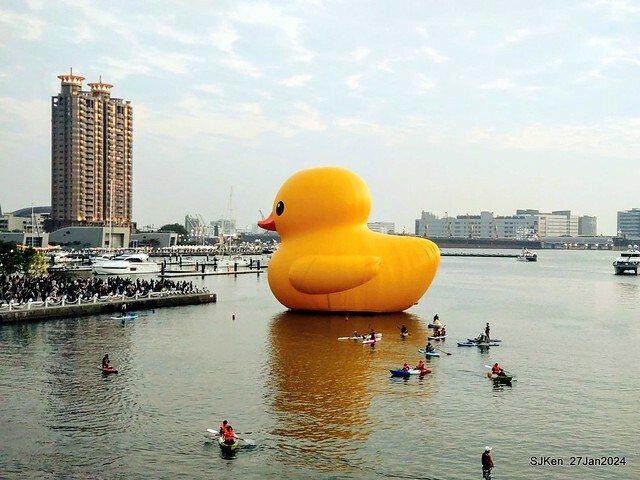 「黃色小鴨 Rubber Duck」由荷蘭藝術家霍夫曼(Florentijn Hofman)創作 exhibitied at Koashiung harbour from 2024.01.27 ~ 2024.02.25, by SJKen, Jan 27, 2024.