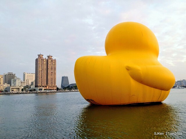 「黃色小鴨 Rubber Duck」由荷蘭藝術家霍夫曼(Florentijn Hofman)創作 exhibitied at Koashiung harbour from 2024.01.27 ~ 2024.02.25, by SJKen, Jan 27, 2024.