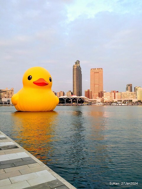 「黃色小鴨 Rubber Duck」由荷蘭藝術家霍夫曼(Florentijn Hofman)創作 exhibitied at Koashiung harbour from 2024.01.27 ~ 2024.02.25, by SJKen, Jan 27, 2024.