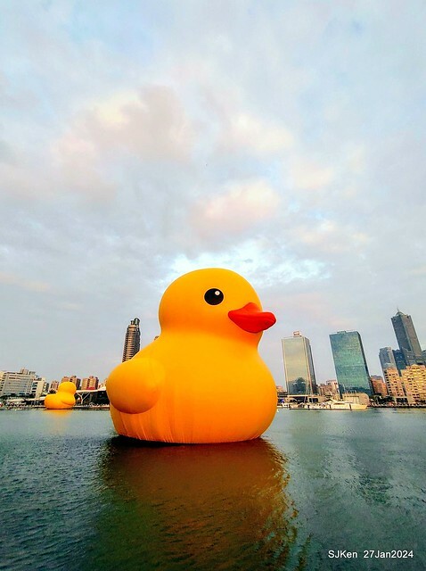 「黃色小鴨 Rubber Duck」由荷蘭藝術家霍夫曼(Florentijn Hofman)創作 exhibitied at Koashiung harbour from 2024.01.27 ~ 2024.02.25, by SJKen, Jan 27, 2024.