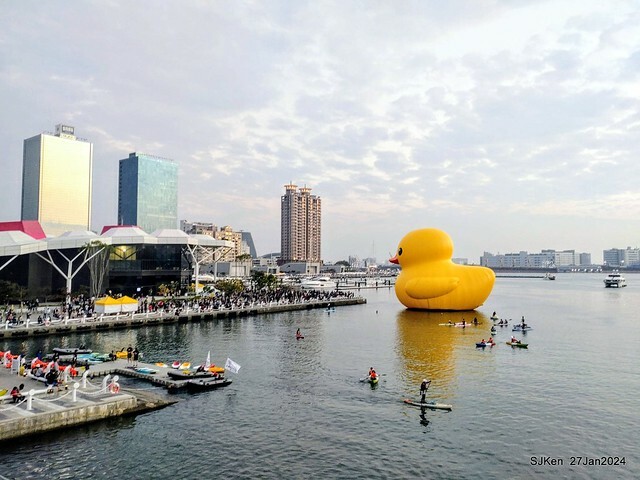 「黃色小鴨 Rubber Duck」由荷蘭藝術家霍夫曼(Florentijn Hofman)創作 exhibitied at Koashiung harbour from 2024.01.27 ~ 2024.02.25, by SJKen, Jan 27, 2024.