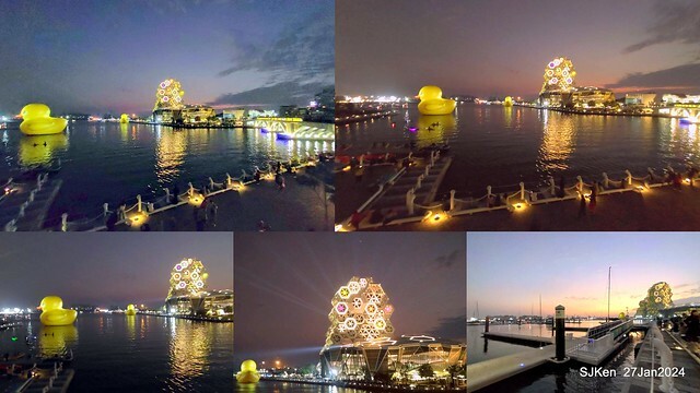 「黃色小鴨 Rubber Duck」由荷蘭藝術家霍夫曼(Florentijn Hofman)創作 exhibitied at Koashiung harbour from 2024.01.27 ~ 2024.02.25, by SJKen, Jan 27, 2024.