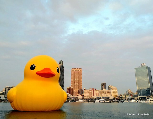 「黃色小鴨 Rubber Duck」由荷蘭藝術家霍夫曼(Florentijn Hofman)創作 exhibitied at Koashiung harbour from 2024.01.27 ~ 2024.02.25, by SJKen, Jan 27, 2024.