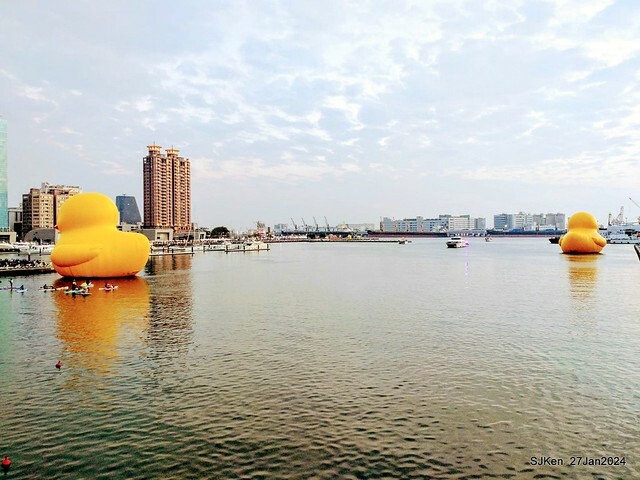「黃色小鴨 Rubber Duck」由荷蘭藝術家霍夫曼(Florentijn Hofman)創作 exhibitied at Koashiung harbour from 2024.01.27 ~ 2024.02.25, by SJKen, Jan 27, 2024.