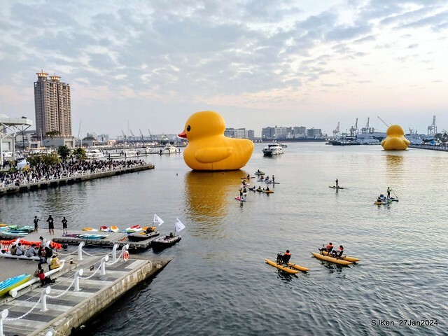 「黃色小鴨 Rubber Duck」由荷蘭藝術家霍夫曼(Florentijn Hofman)創作 exhibitied at Koashiung harbour from 2024.01.27 ~ 2024.02.25, by SJKen, Jan 27, 2024.