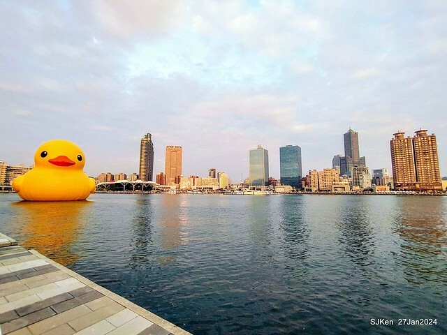 「黃色小鴨 Rubber Duck」由荷蘭藝術家霍夫曼(Florentijn Hofman)創作 exhibitied at Koashiung harbour from 2024.01.27 ~ 2024.02.25, by SJKen, Jan 27, 2024.