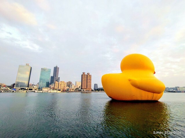 「黃色小鴨 Rubber Duck」由荷蘭藝術家霍夫曼(Florentijn Hofman)創作 exhibitied at Koashiung harbour from 2024.01.27 ~ 2024.02.25, by SJKen, Jan 27, 2024.