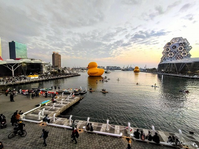 「黃色小鴨 Rubber Duck」由荷蘭藝術家霍夫曼(Florentijn Hofman)創作 exhibitied at Koashiung harbour from 2024.01.27 ~ 2024.02.25, by SJKen, Jan 27, 2024.