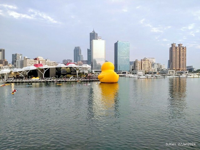 「黃色小鴨 Rubber Duck」由荷蘭藝術家霍夫曼(Florentijn Hofman)創作 exhibitied at Koashiung harbour from 2024.01.27 ~ 2024.02.25, by SJKen, Jan 27, 2024.
