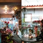 台中賞白雪木 黃金楓 置身鳥語花香的森林下午茶