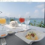 台中賞白雪木 黃金楓 置身鳥語花香的森林下午茶