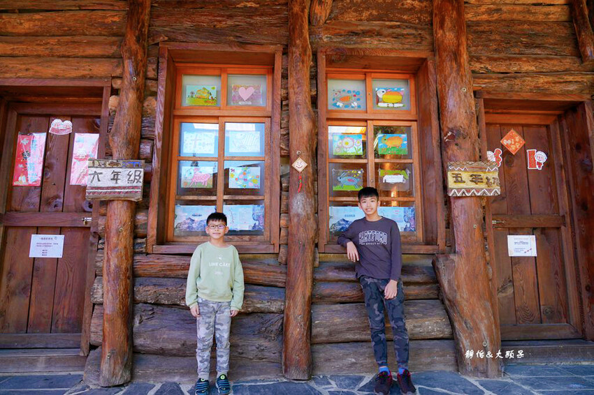 2024司馬庫斯櫻花季，上帝的部落絕美櫻花海隧道，櫻花季管制