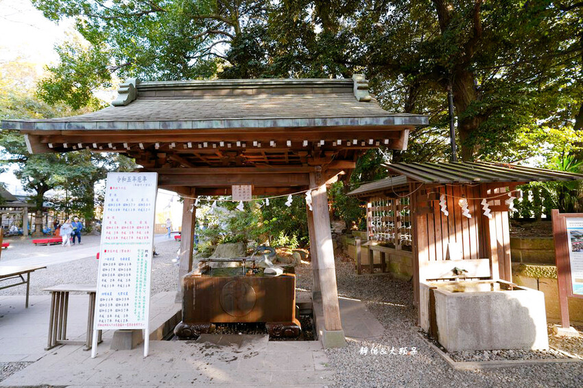 川越冰川神社 ❙ 祈求良緣鯛魚籤、繪馬隧道、人形流,崎玉旅遊 川越冰川神社 ❙ 祈求良緣鯛魚籤、繪馬隧道、人形流,崎玉旅遊