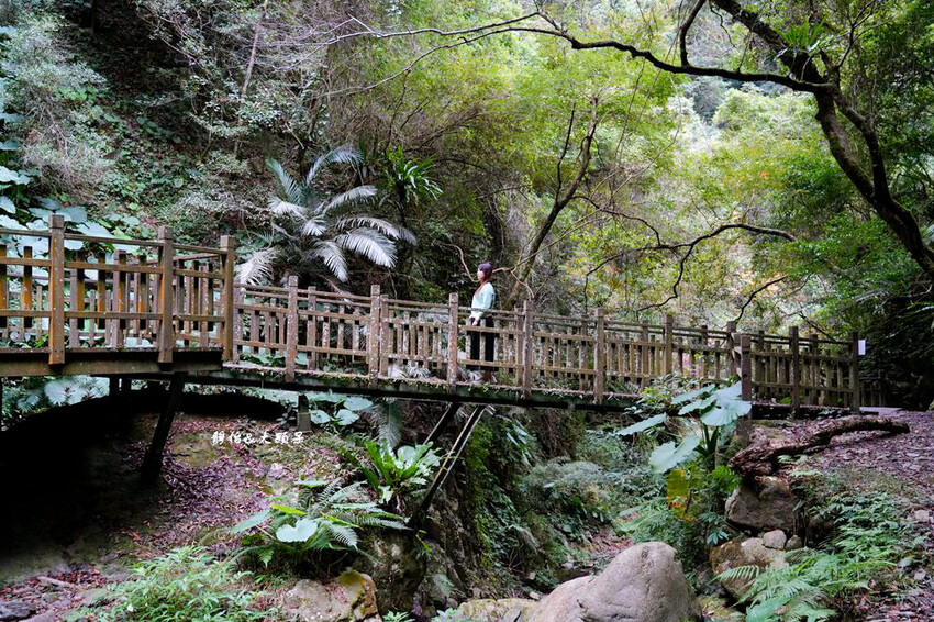 老鷹溪生態親子步道 ❙ 輕鬆好走，不用半小時輕鬆捕捉瀑布美景