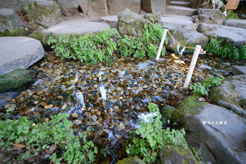 川越冰川神社 ❙ 祈求良緣鯛魚籤、繪馬隧道、人形流,崎玉旅遊 川越冰川神社 ❙ 祈求良緣鯛魚籤、繪馬隧道、人形流,崎玉旅遊