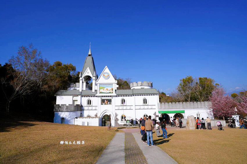 清境農場櫻花季,漫步櫻花林與萌呆笑笑羊互動,粉嫩櫻花海盛開! 清境農場櫻花季,漫步櫻花林與萌呆笑笑羊互動,粉嫩櫻花海盛開!