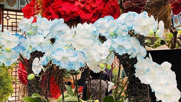 IMG_5829.jpg IMG_5829.jpg