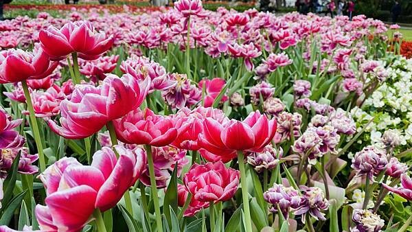 IMG_5741.jpg IMG_5741.jpg