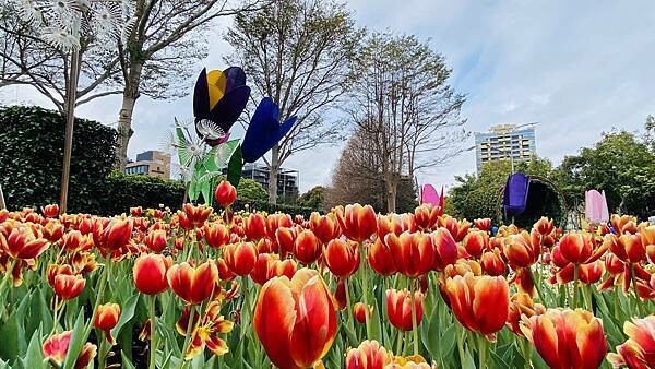 IMG_5702.jpg IMG_5702.jpg