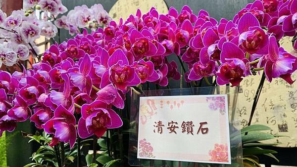 IMG_5841.jpg IMG_5841.jpg