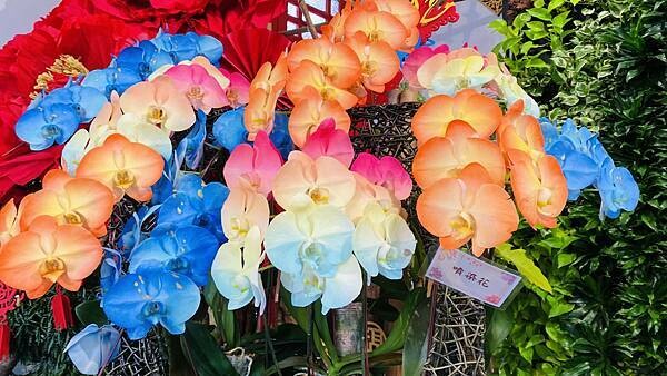 IMG_5827.jpg IMG_5827.jpg