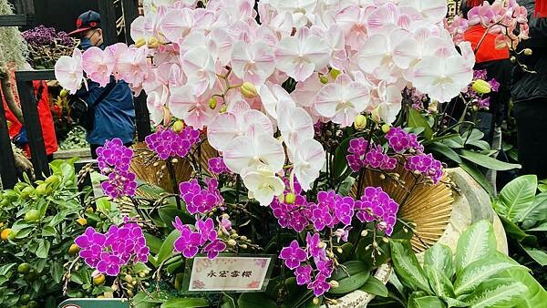 IMG_5831.jpg IMG_5831.jpg