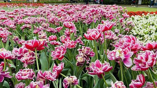 IMG_5743.jpg IMG_5743.jpg